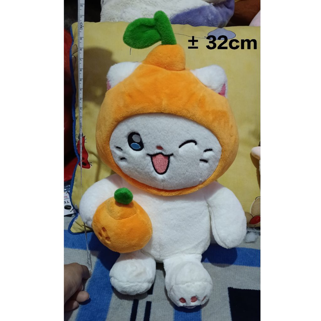 Boneka kucing lucu / boneka kucing / boneka preloved
