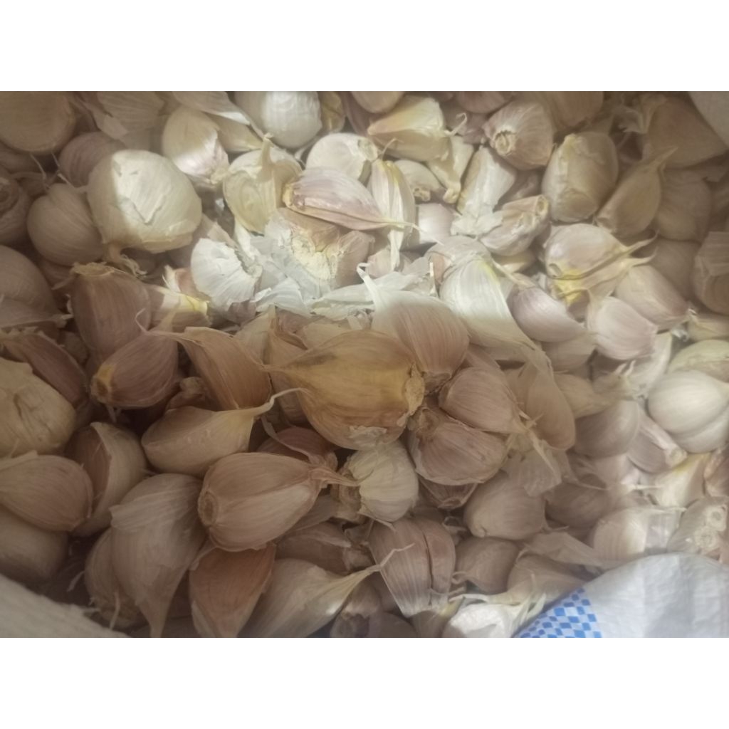 

Bawang Putih Kating 1kg