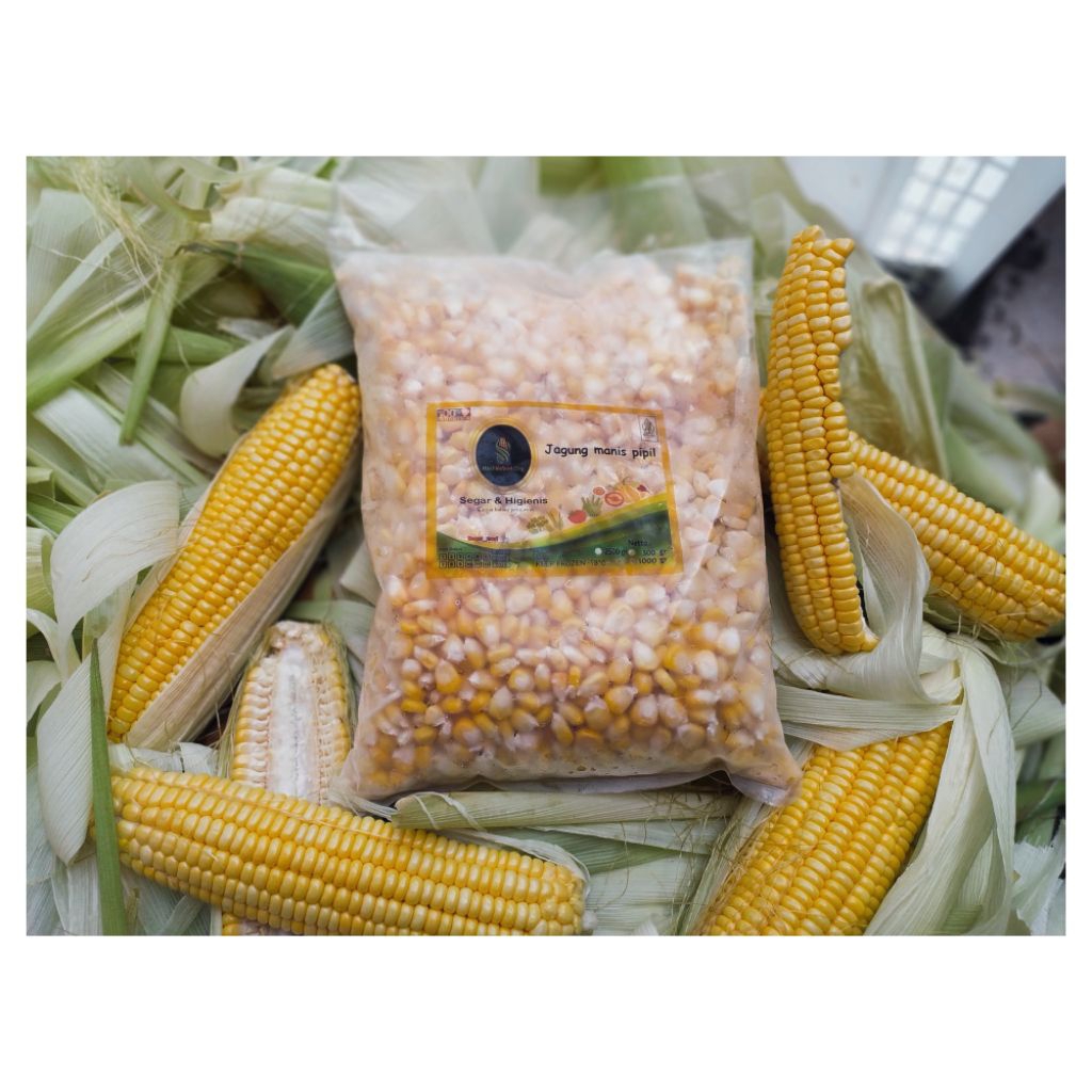 

Jagung pipil manis 1 kg hasil_kebun.org