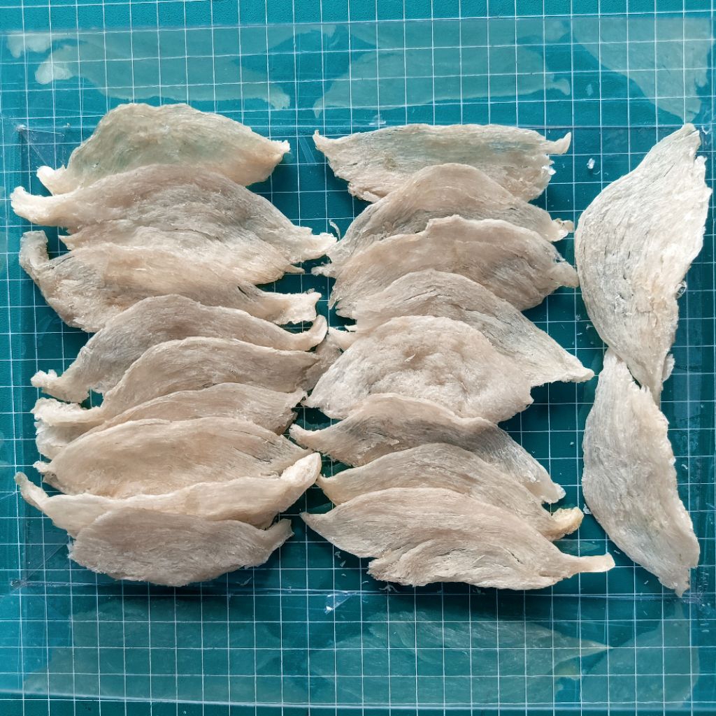 

Sarang Burung Walet Flat @1gram