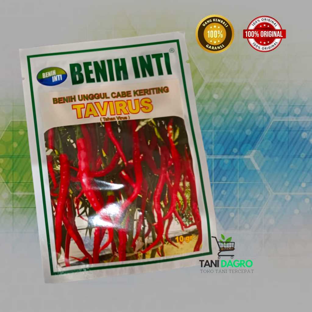 Benih Cabe Keriting TURUS  TAVY F1 10 gr  Cap Benih Inti -Unggul Tahan Virus Mudah Pemeliharaan
