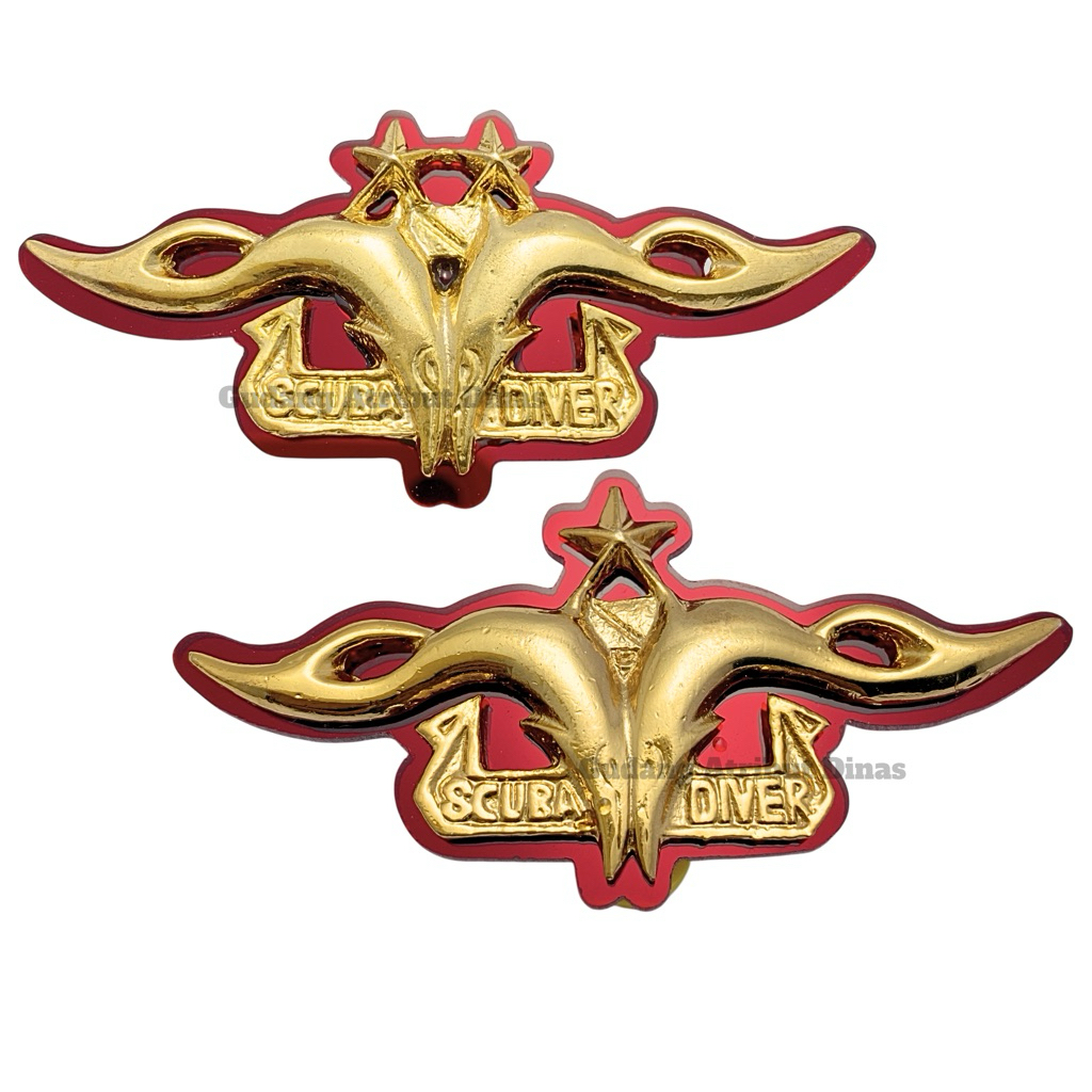 BREVET SCUBA / Brevet Scuba Diver AKIP / GAD