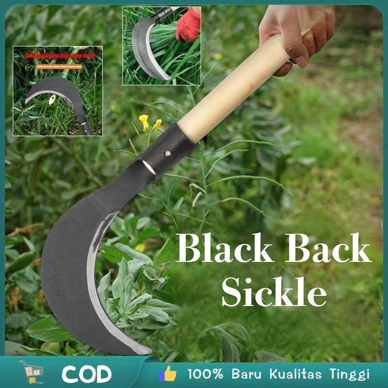 Arit Padi Super Tajam Arit Baja Arit Sawah Dengan Pegangan Kayu Arit Rumput Baja Super Tajam Madura