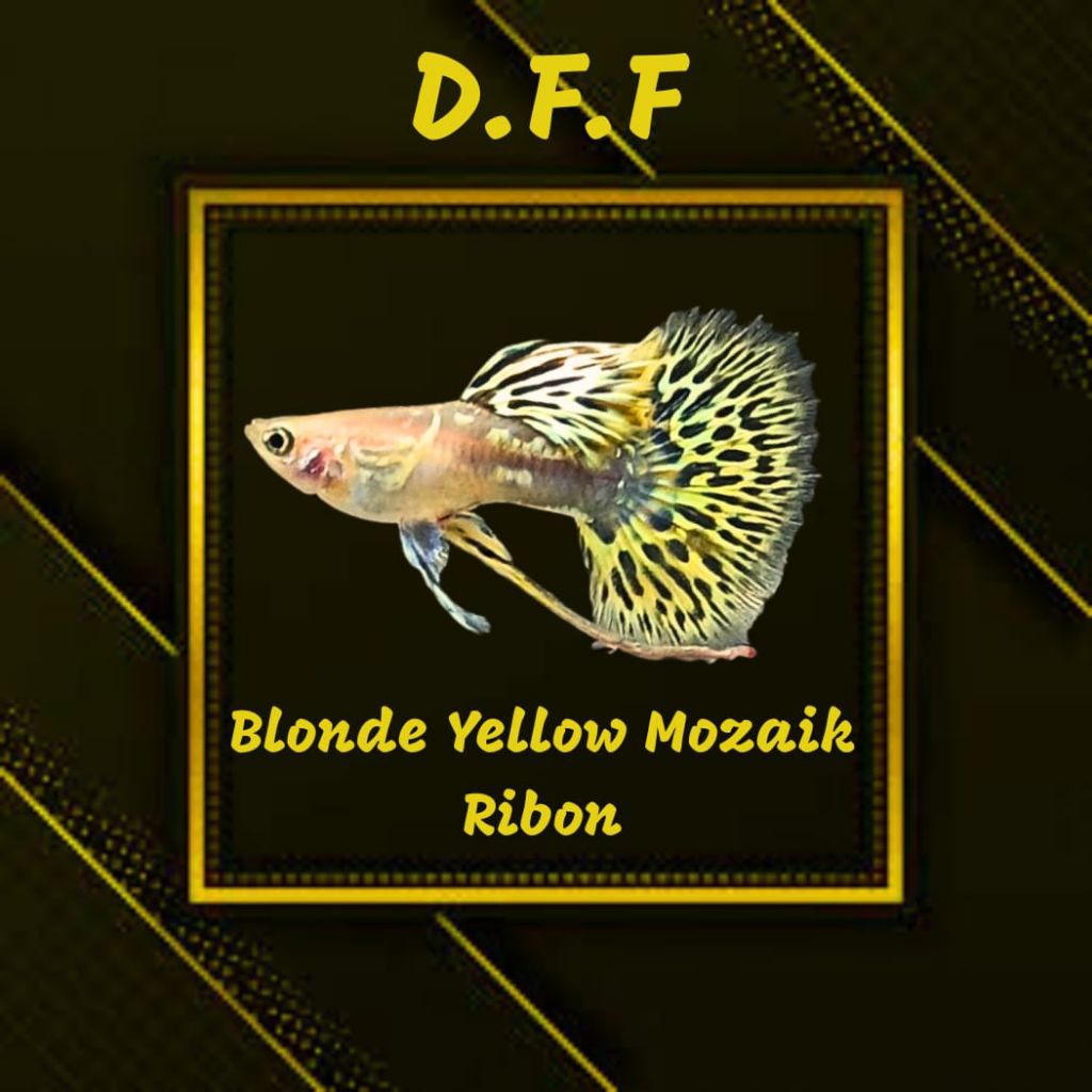 

BOX STEROFOAM-B YELLOW M0ZAIK RB