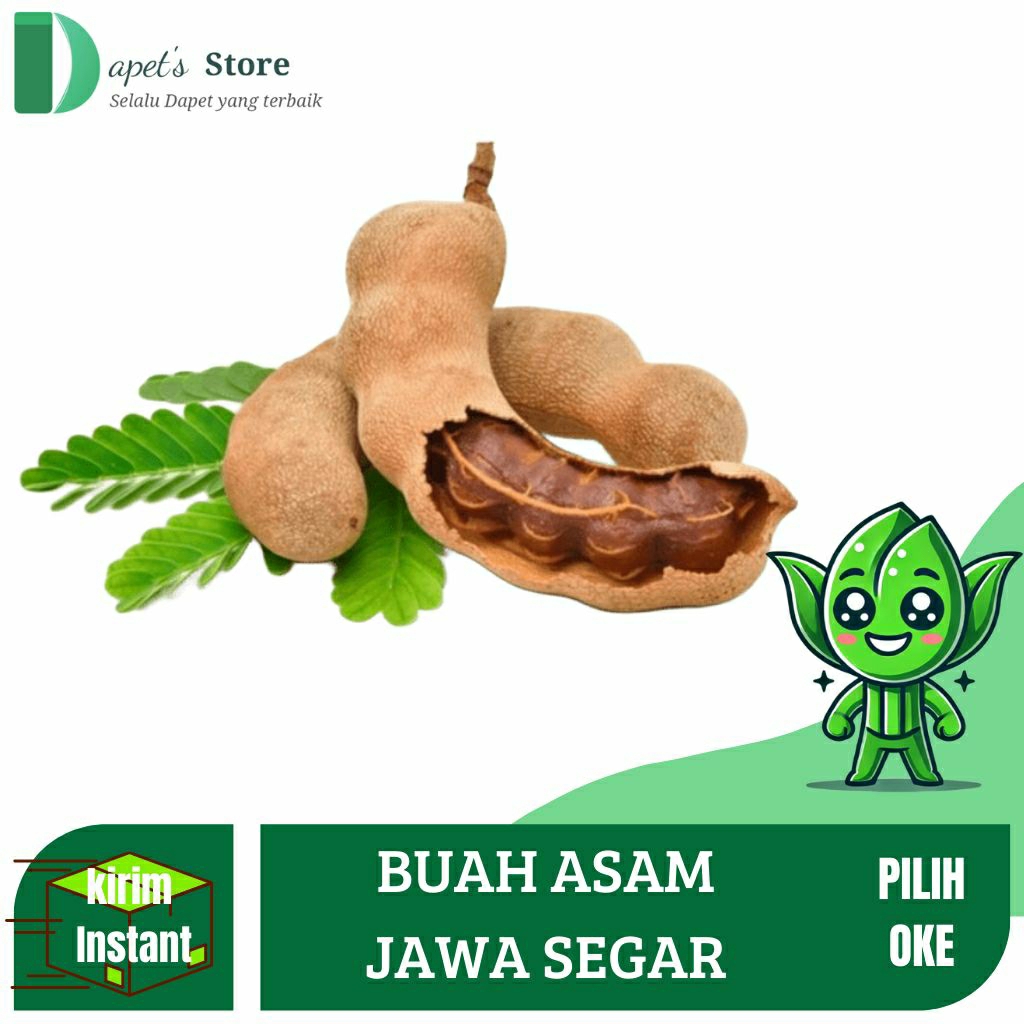 

Buah Asam Jawa Segar Buah Asam Jawa Muda Pilihan Fresh - Dapet'S Store