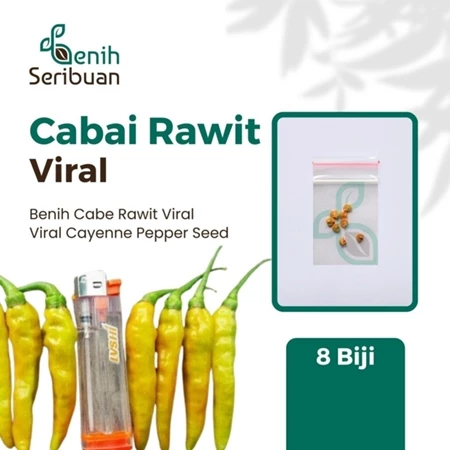 Benih Seribuan - 8 Benih Cabe Rawit Viral Hibrida