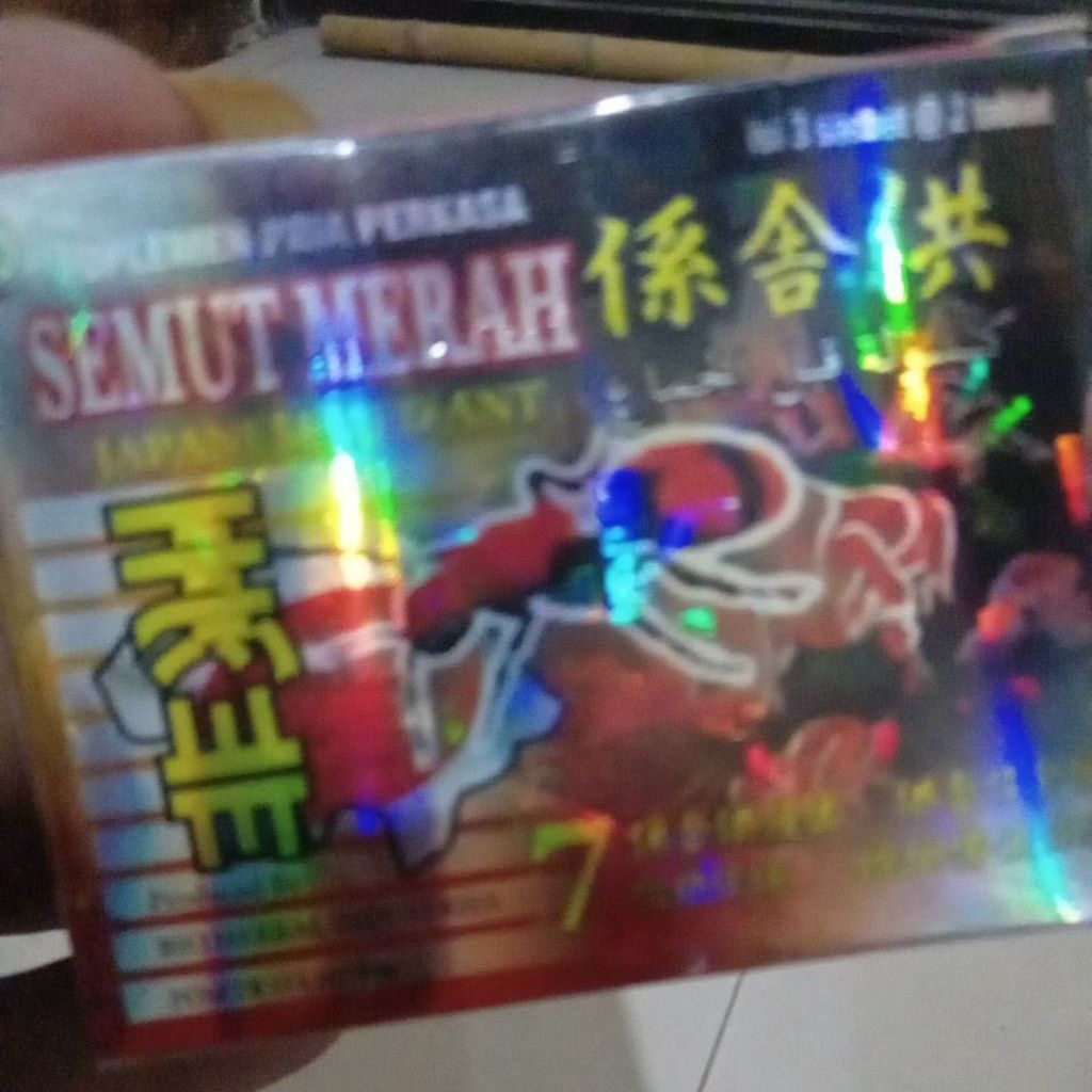 

semut merah original