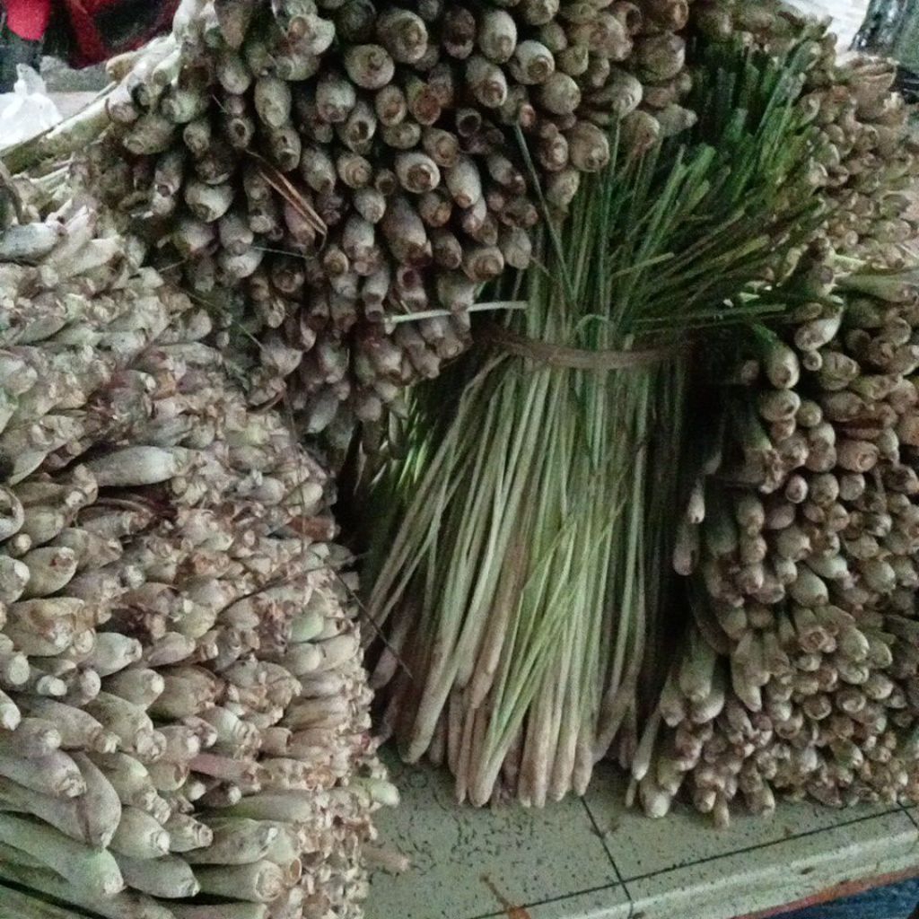 

Sereh Lokal Pilihan Fresh 1KG