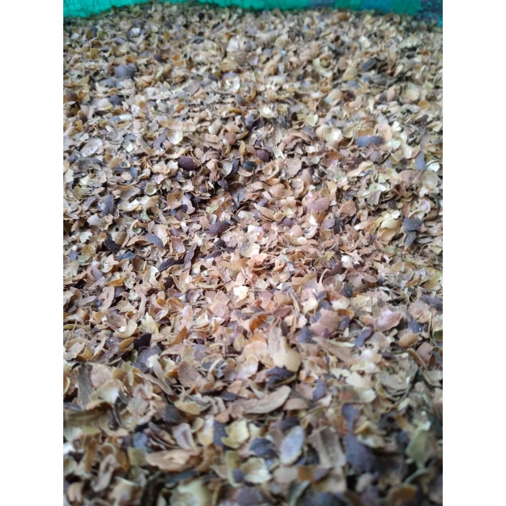 

kulit kopi kering 1kg