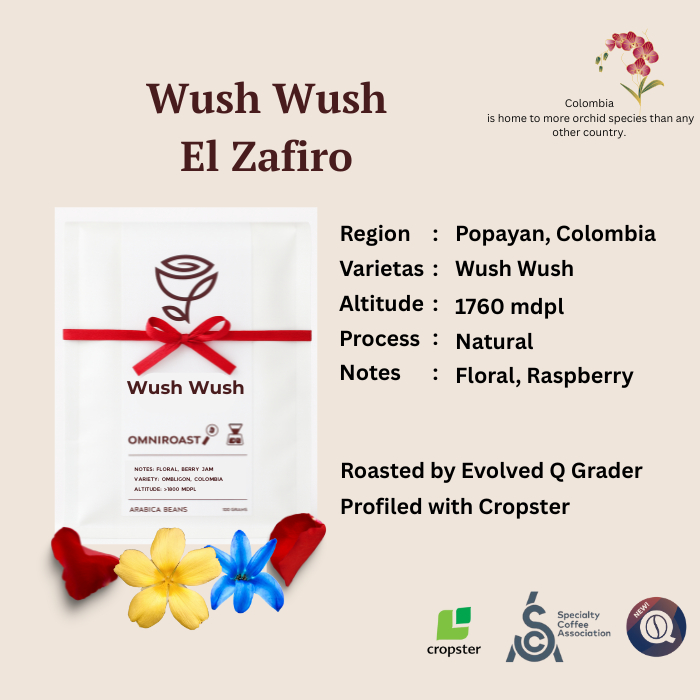 

Wush Wush El Zafiro Colombia - Exotic Single Variety Specialty Beans - Rosest Rosetery