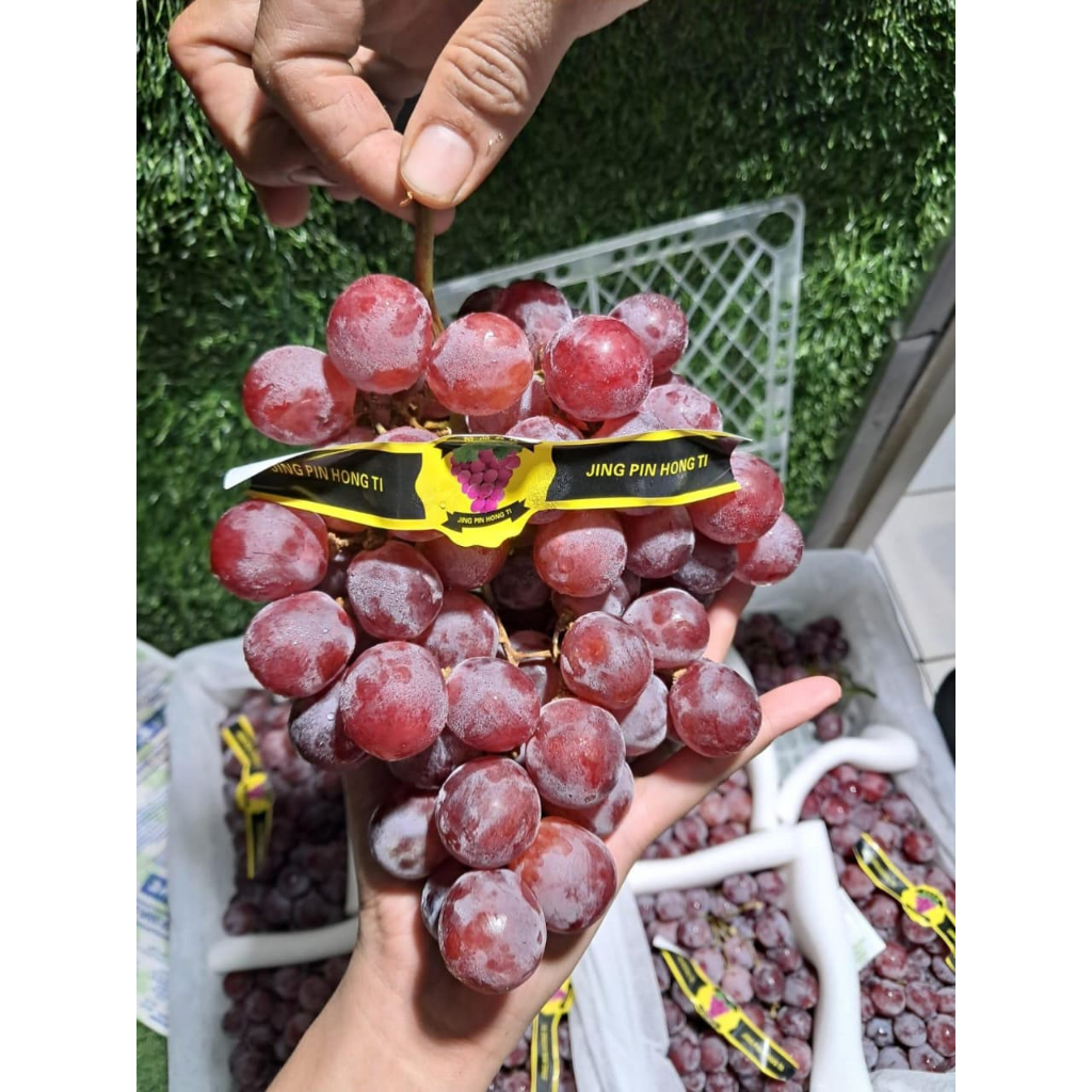 

ANGGUR RED GLOBE RRC