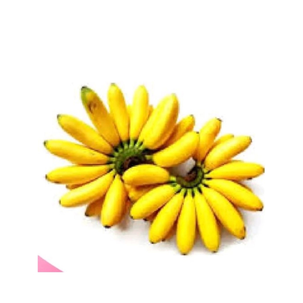 

PISANG MAS MANIS Asli dari petani