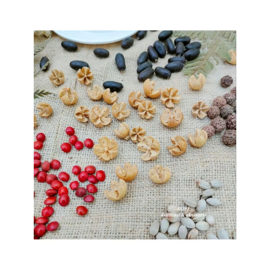 PINUS KERING RUSTIC BIJI ROTAN BULAT/BIJI PUSPO/BIJI ROTAN LONJONG