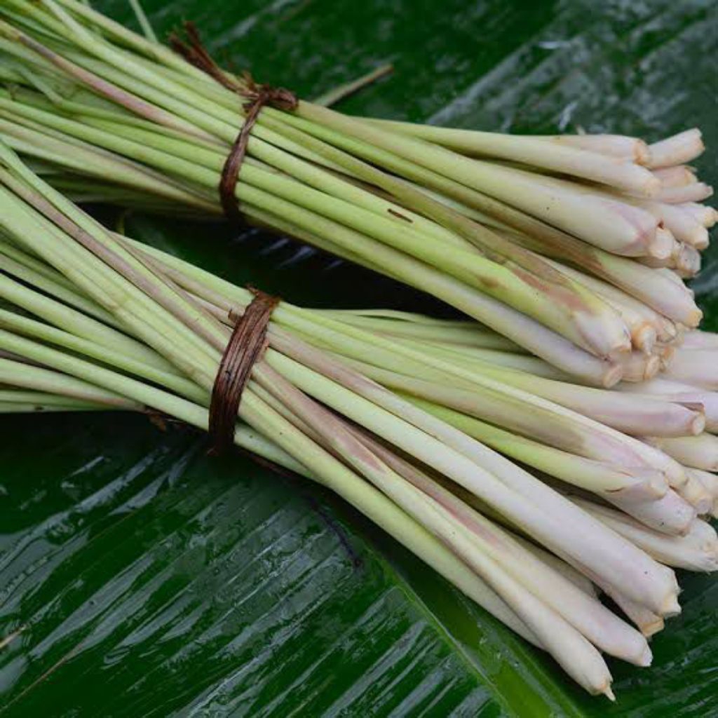 

Serai / Sereh / Lemon Grass