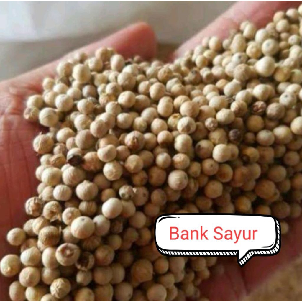 

Merica Butir Fresh Bersih