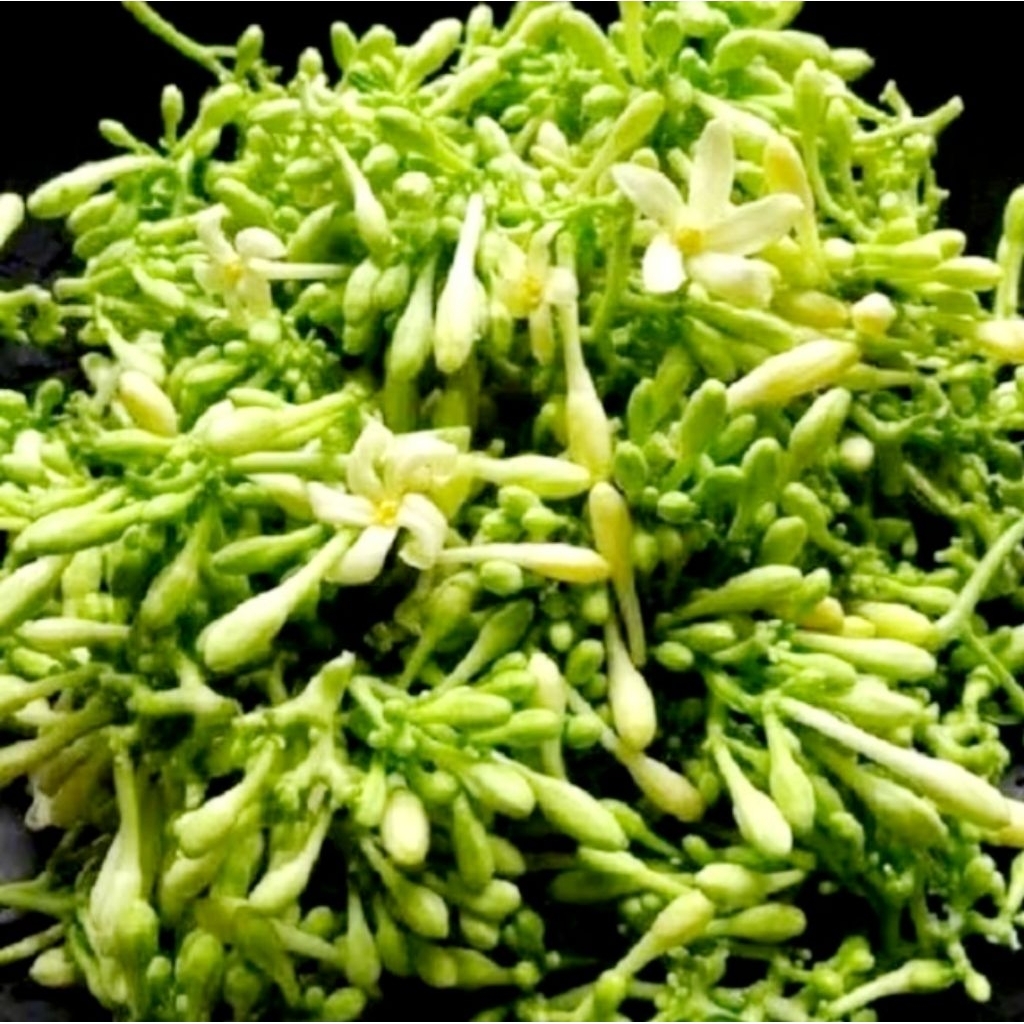 

Bunga pepaya segar ,sayur sehat &berkhasiat