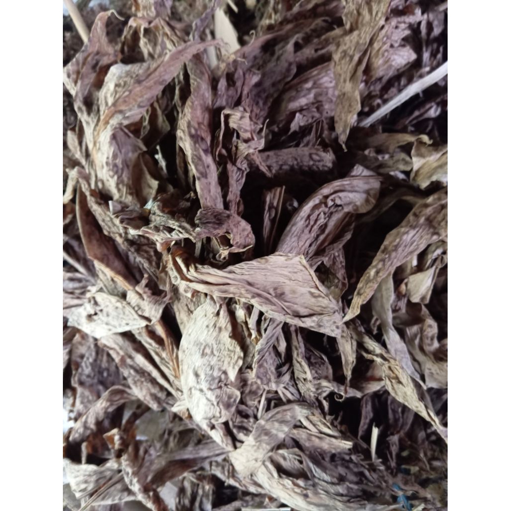 

Daun kunyit kering original kering 100 gram