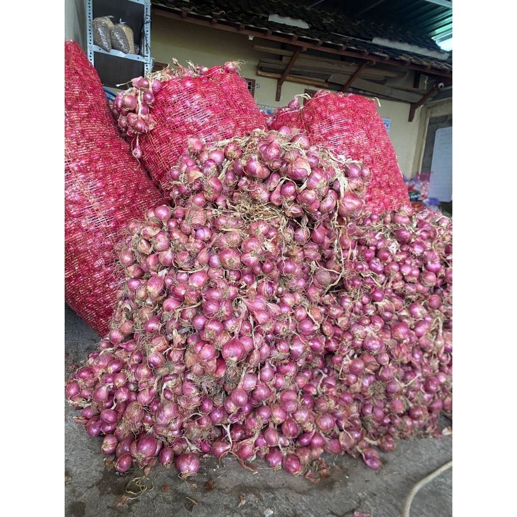

(1000gr) BAWANG MERAH BIMA (K)