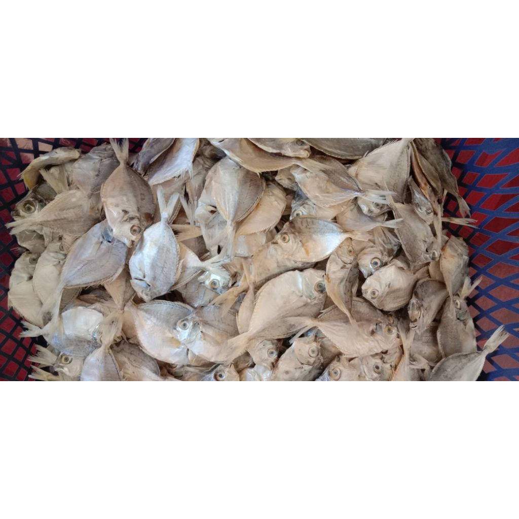 

Ikan Asin / Ikan Kering Petek atau Kopek