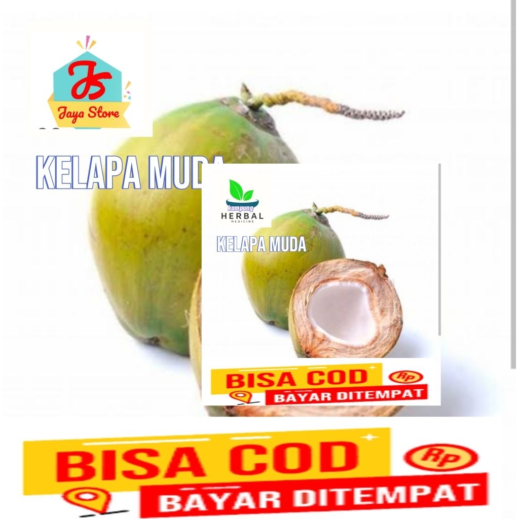 

buah kelapa hijau /butir