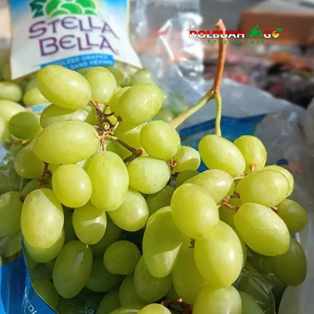 

Anggur Hijau Green USA Manis Tanpa Biji Crunchy Berkualitas - Dolbuah