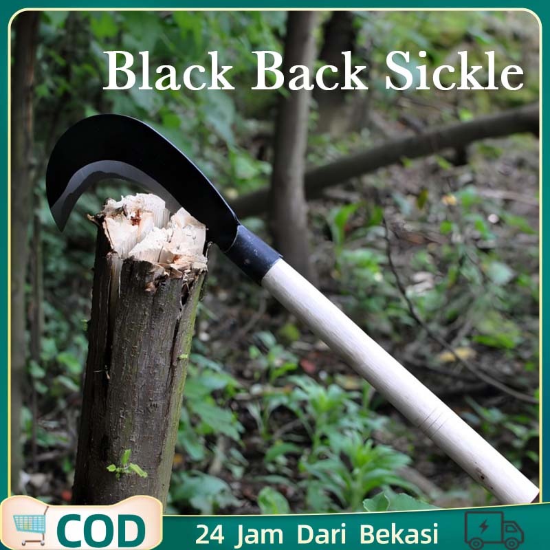 Arit Padi Sawah Arit Tani Alat Tani Sabit Baja Dengan Pegangan Kayu Arit Panen Padi