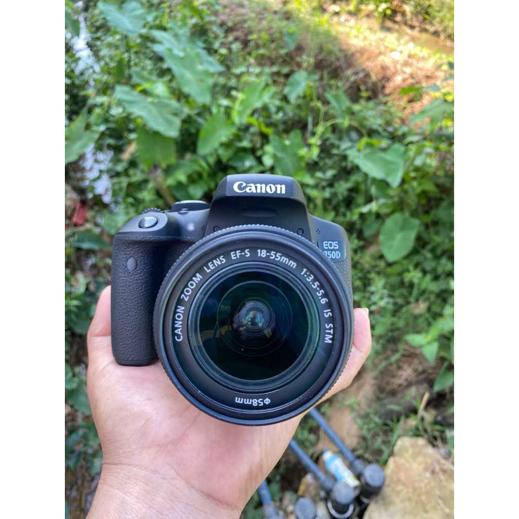 Canon Eos 750 D Bekas