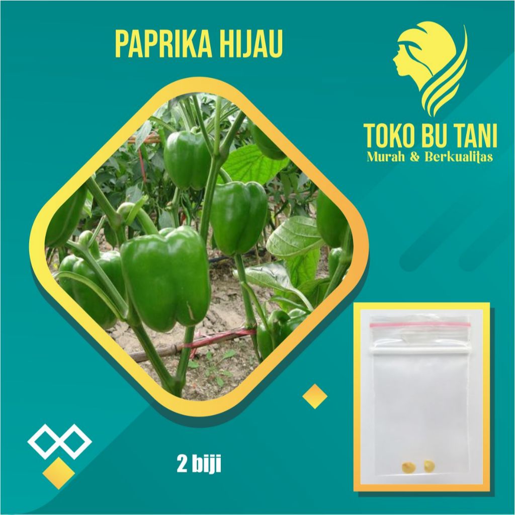 BTN Benih Paprika Hijau F1 Bibit Paprika Hijau F1 Unggul Benih Sayuran Berkualitas