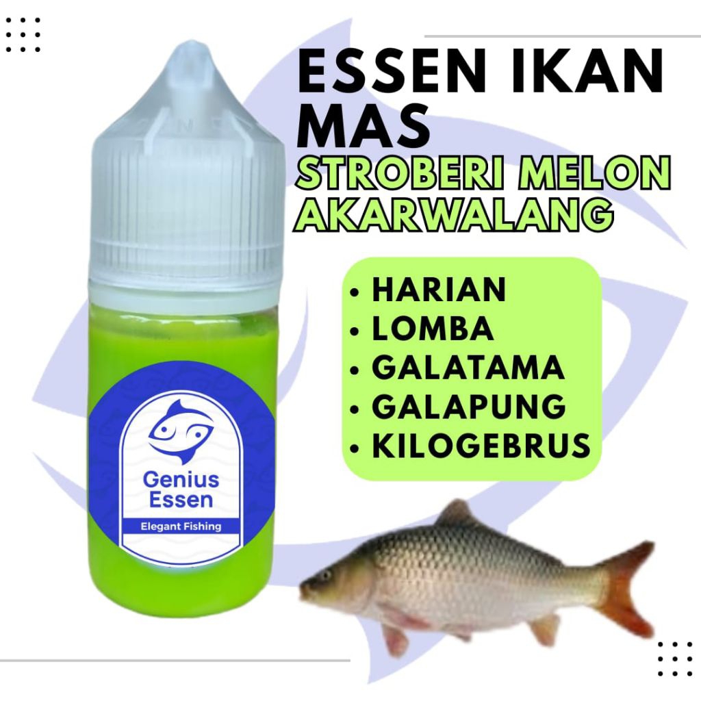 ESSEN IKAN MAS AROMA STROBERI MELON AKARWALANG essen ikan mas harian essen ikan mas lomba essen ikan