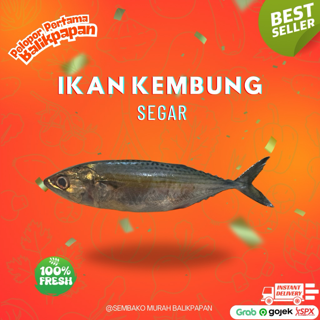 

ikan kembung segar 1kg