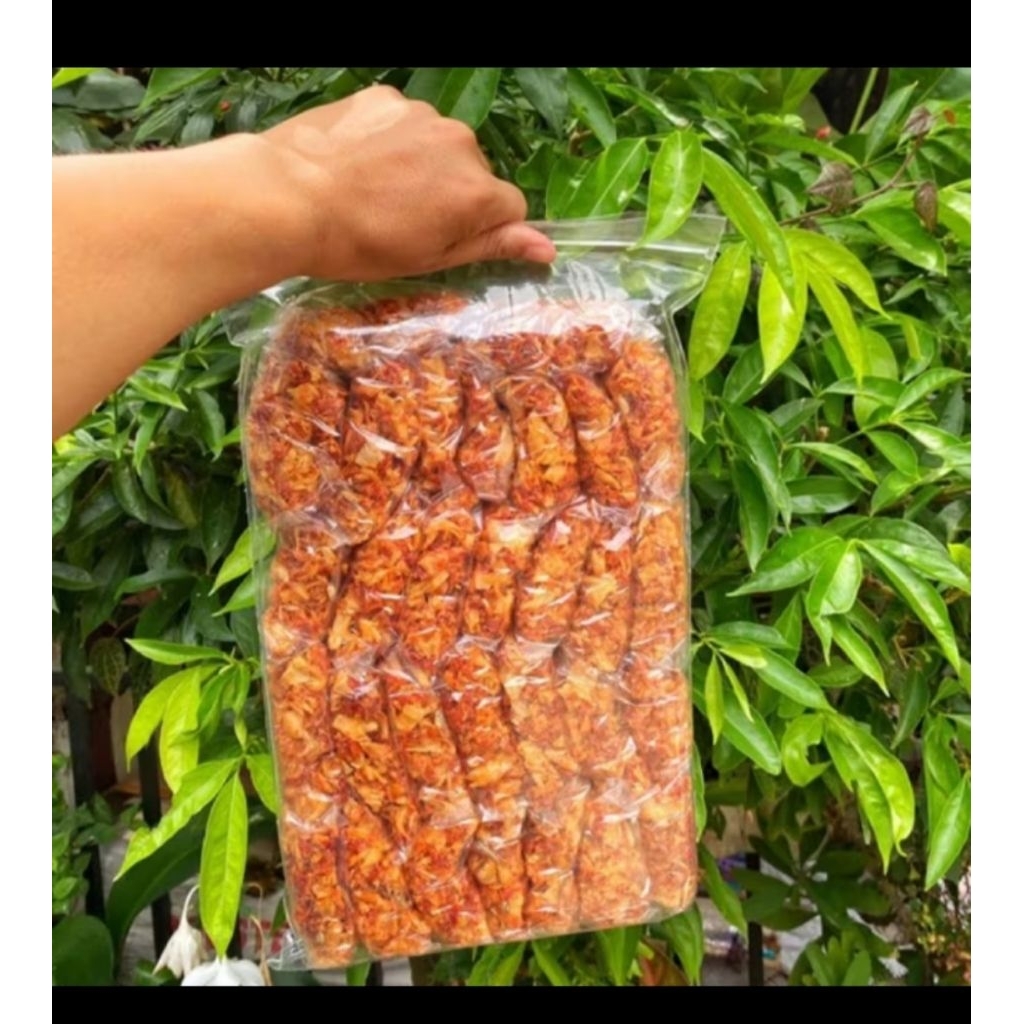 kripik sambal teri sibolga