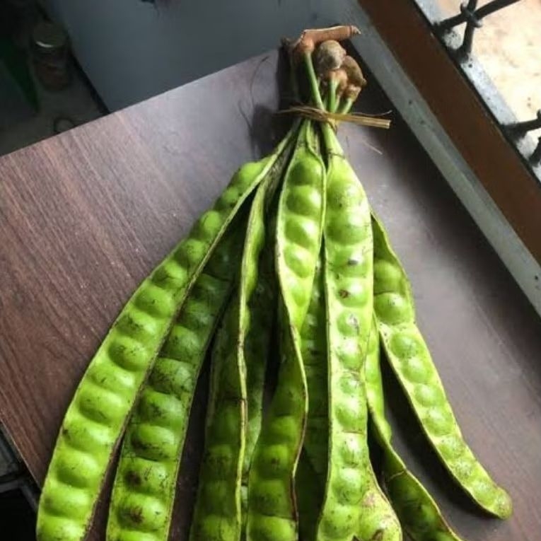 

[Ready Stock] Petai segar, petai lalapan, petai sayur jual perlonjor, petai ecer