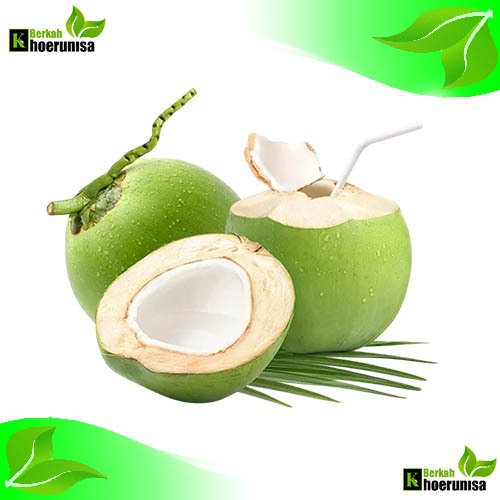 

Buah Kelapa Muda Utuh degan Segar per butir