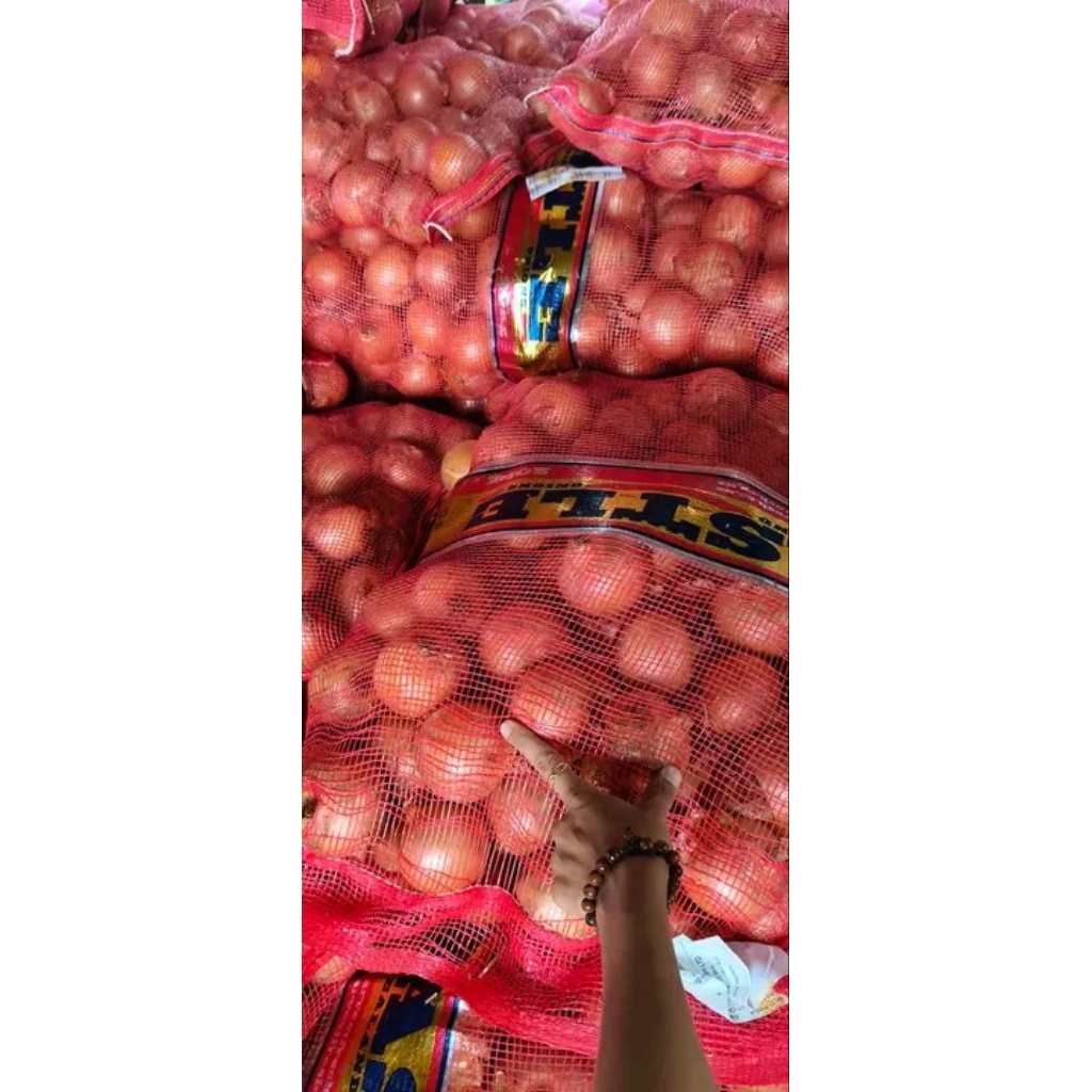 

Bawang Bombai Import