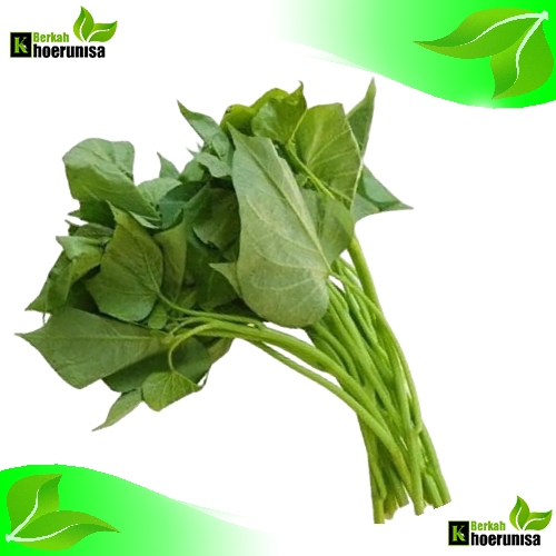 

Daun Ubi jalar Muda Sayuran Segar 1 kg fresh