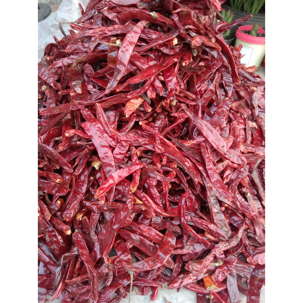 

cabe besar kering,tidak pedas 250gr,500gr,1kg