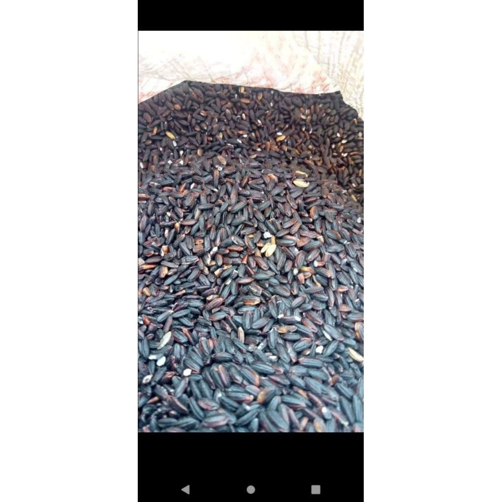 

ketan hitam super kemasan 1 kg