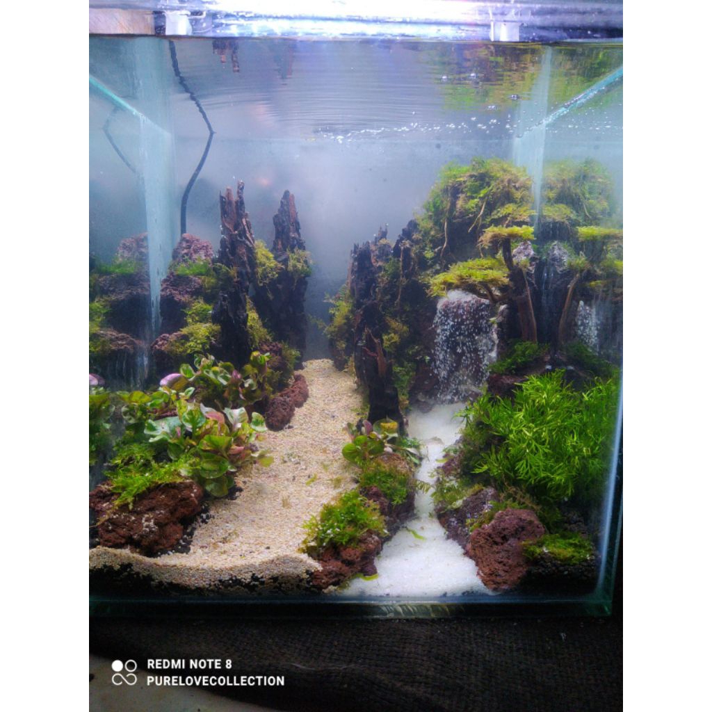 Aquarium /aquascape fullset 30cm