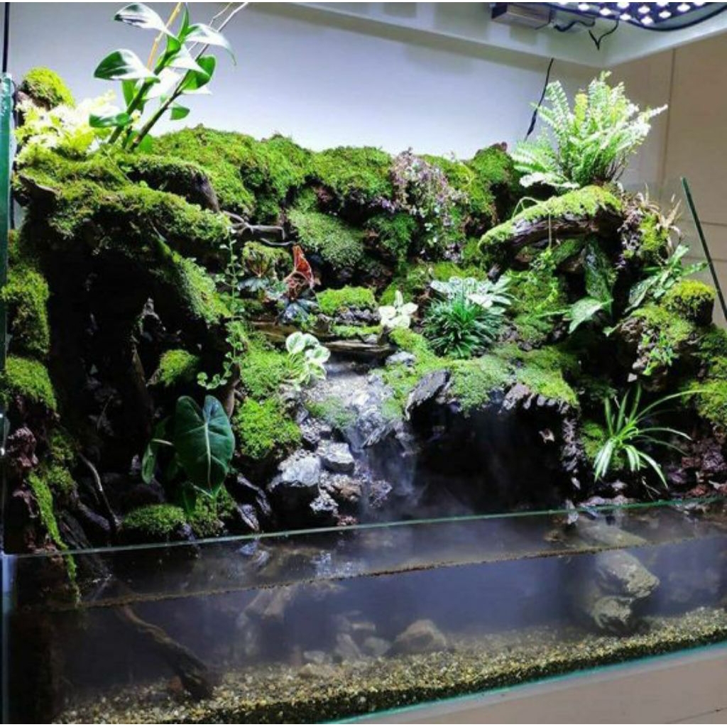Paludarium fullset 1 meter