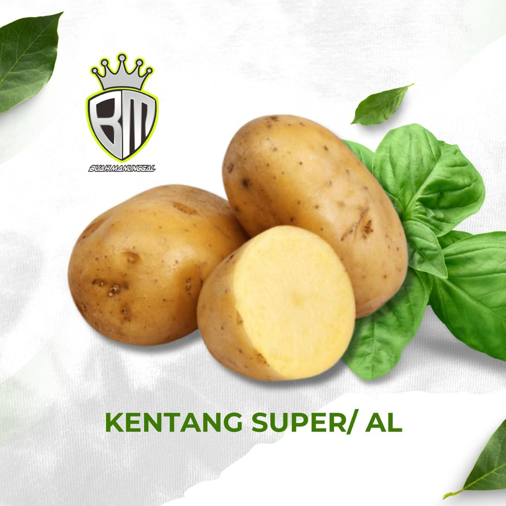 

Kentang Batu Malang ukuran Super AL 1kg 4-5biji / Kentang segar / Kentang Fresh / Ssyur segar