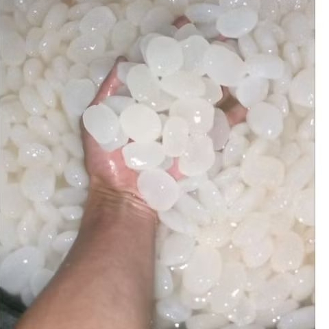 

kolang kaling fresh paket hemat 2kg uk standar