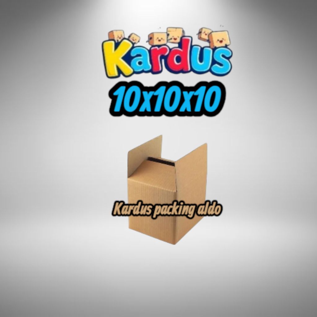 

kardus box packing 10×10×10