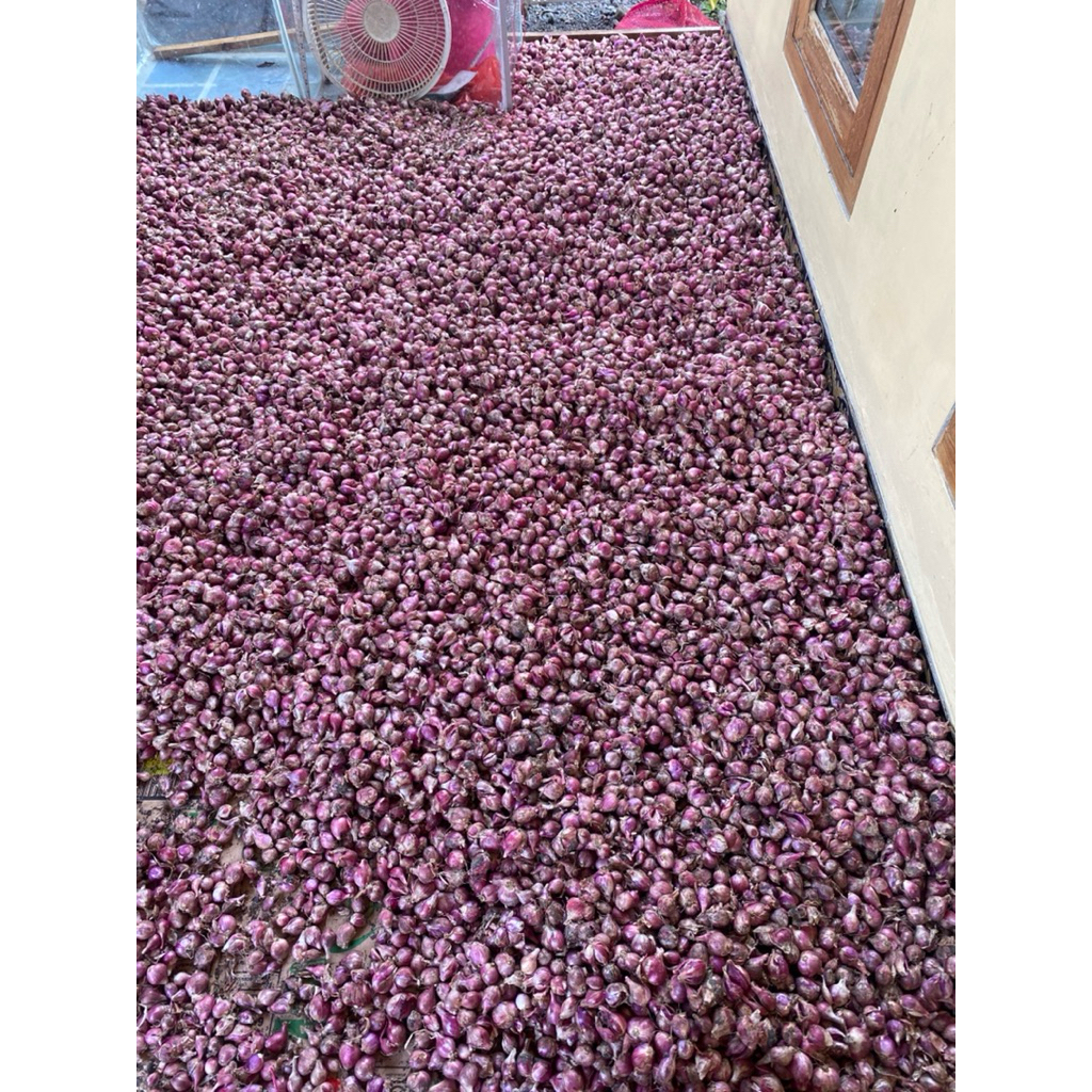 

BAWANG MERAH SEDANG KECIL NGANJUK JAWATIMUR