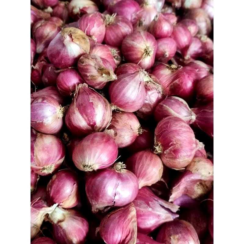 

Bawang Merah Kering besar 1kg 500 Gram