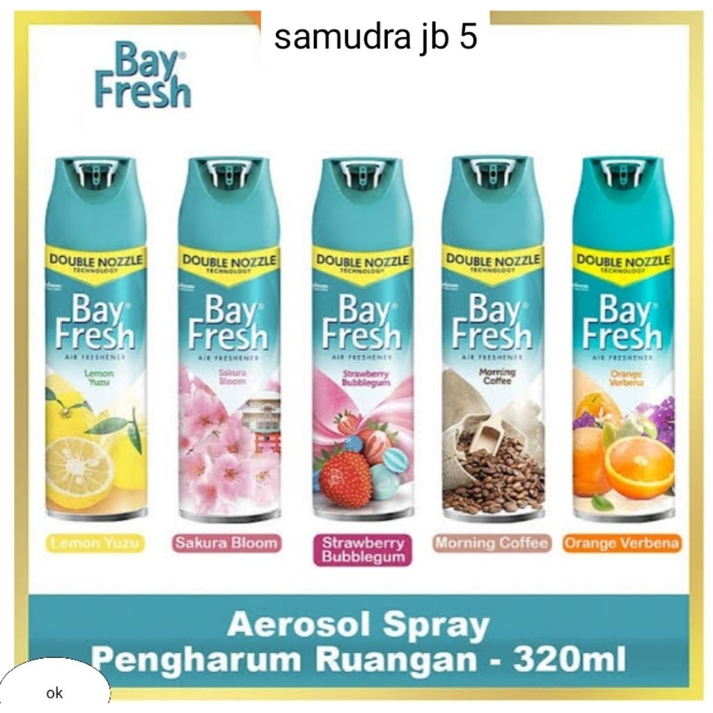 Bayfresh aerosol 320 ml