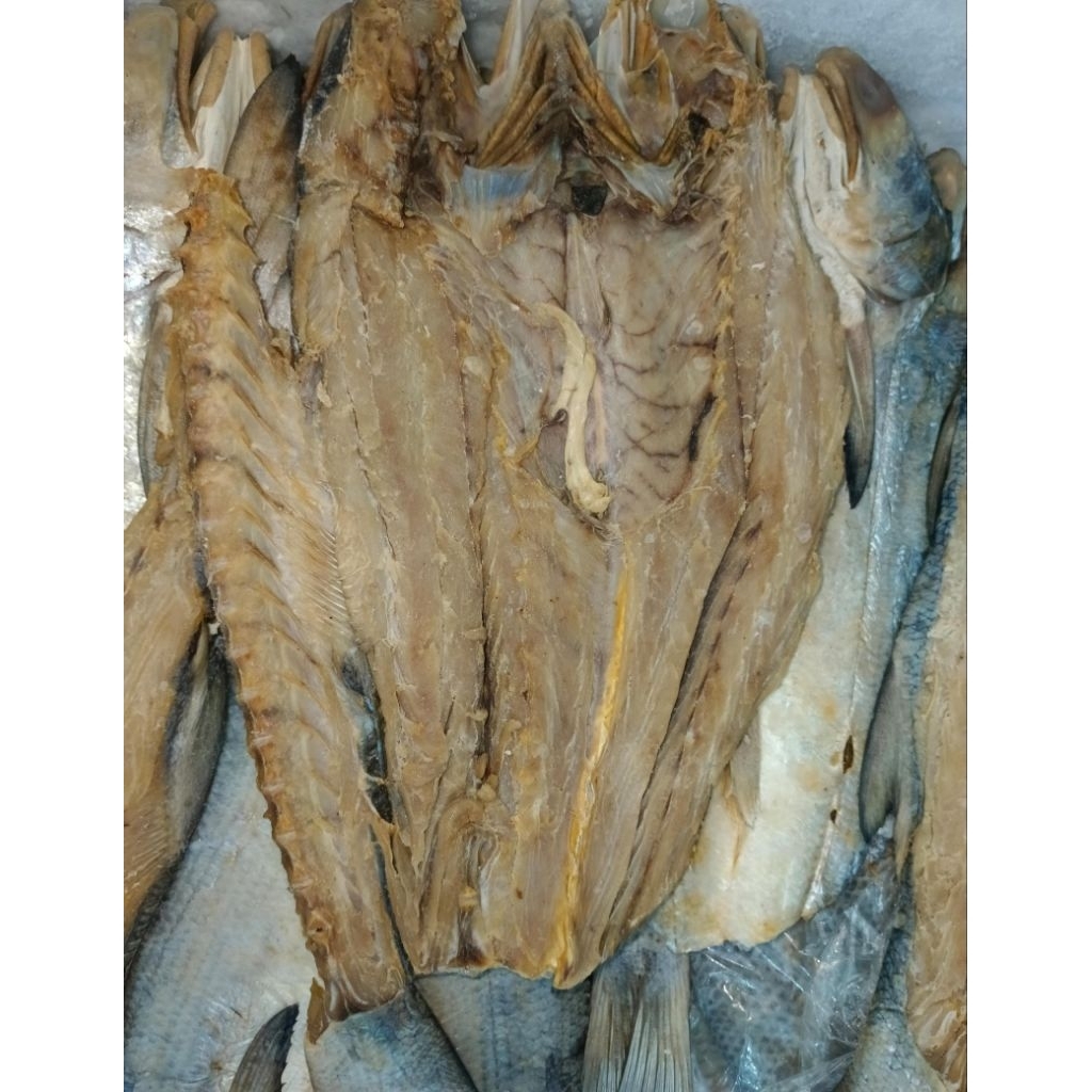 

Ikan asin menangin /senangin juragan ikan asin