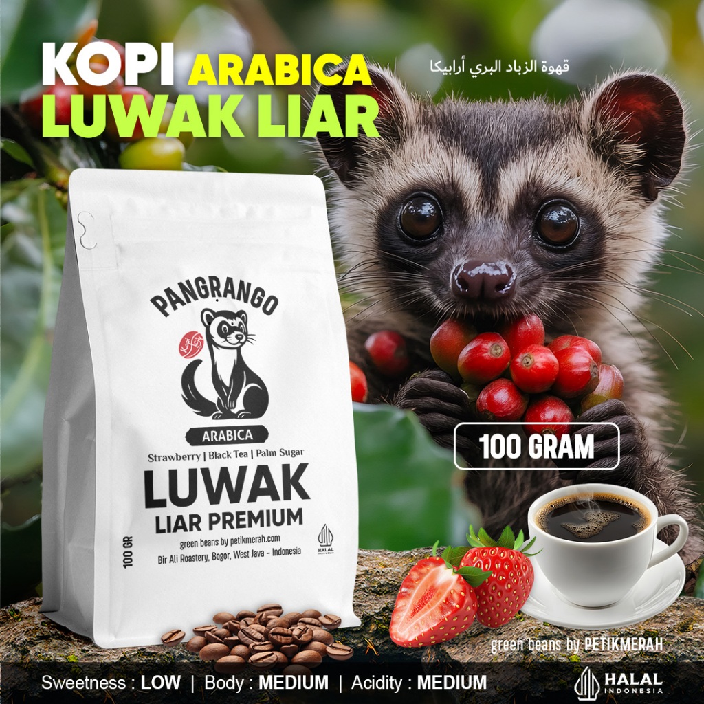 

KOPI LUWAK LIAR ASLI Arabika Pangrango Petik Merah Filter Beans Arabica Coffee Roastery 100 Gram