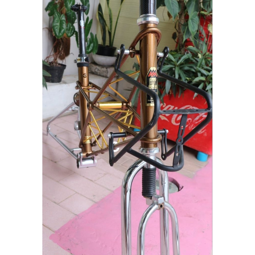 Frame Minivelo Custom