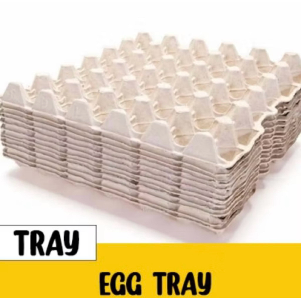 TRAY TELUR EGG TRAY WADAH TELUR ANTI PECAH