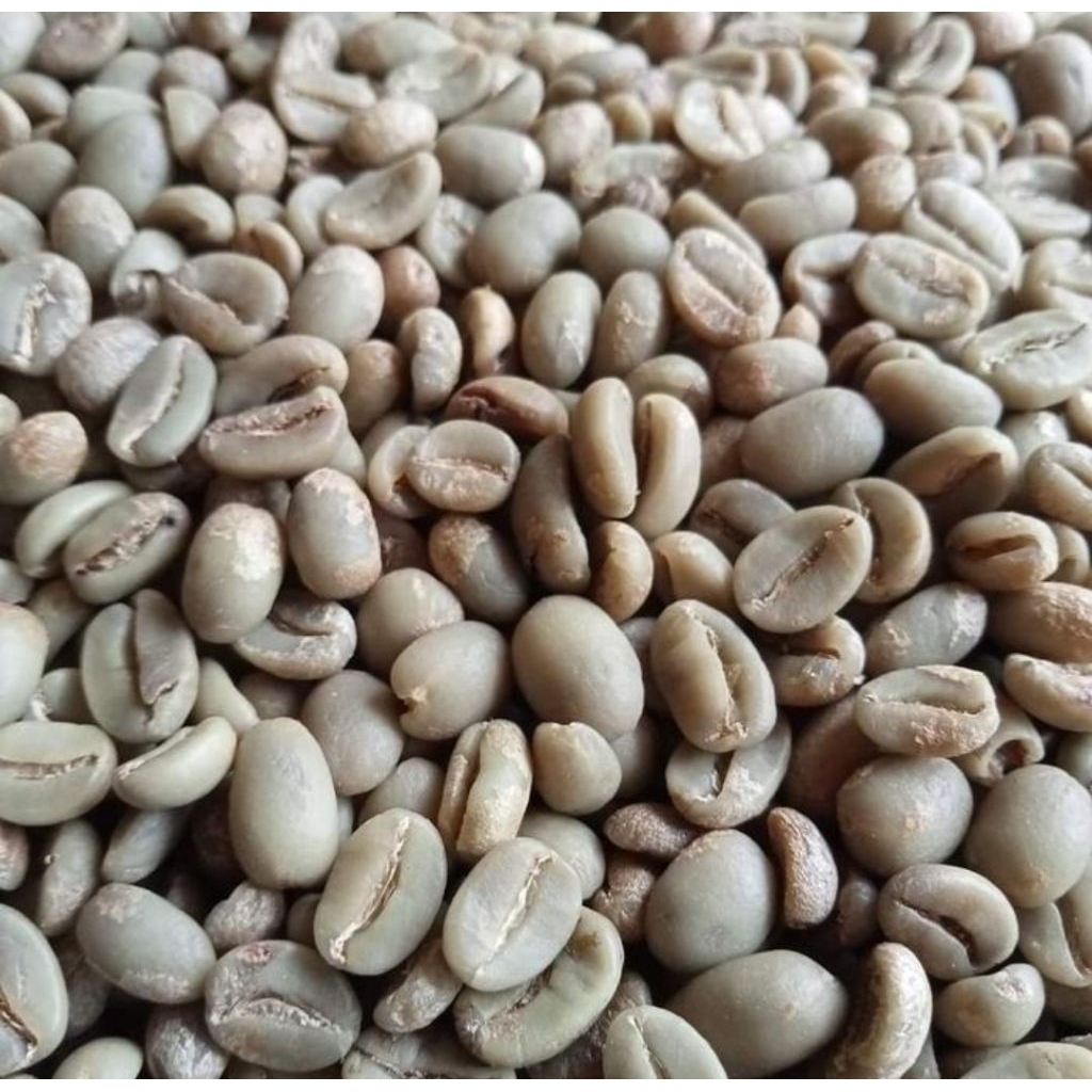 Kopi Luwak Arabika 1kg Ijen Raung